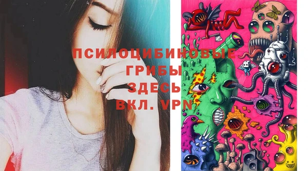 дурь Балахна